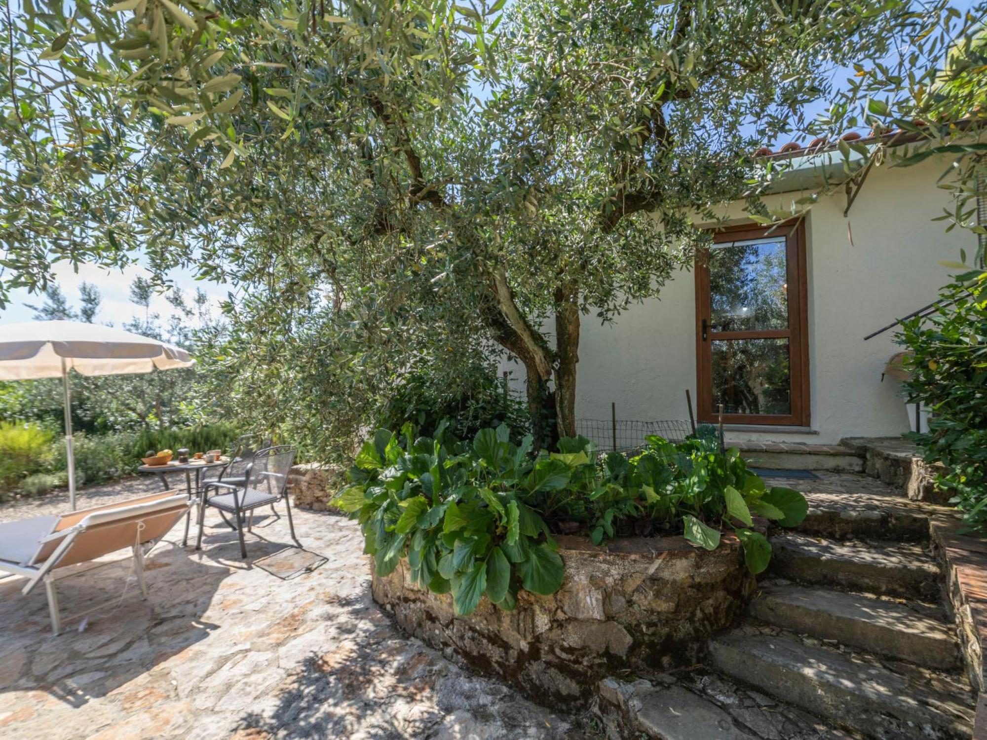 Holiday Home Olivo By Interhome Castellina in Chianti Buitenkant foto